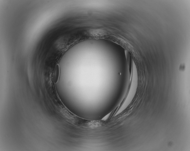 X0000096180762200802011342