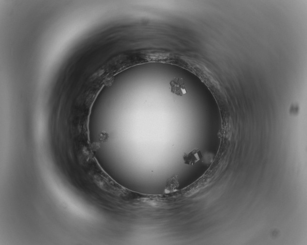 X0000096180763200802011342