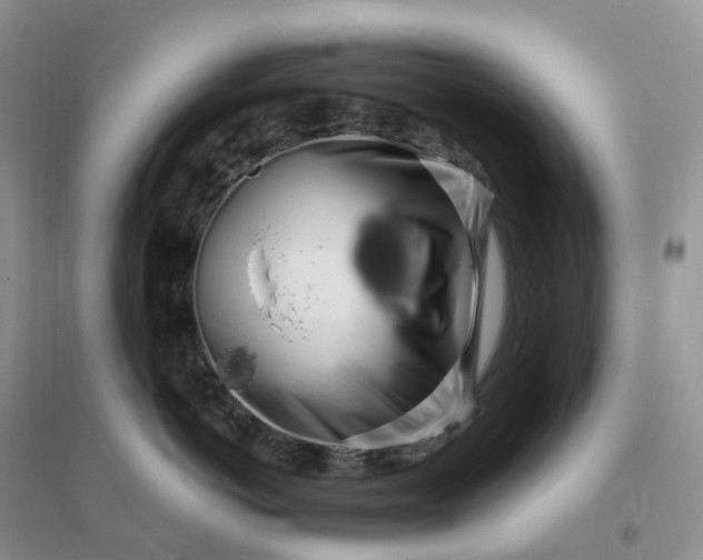 X0000096180766200802011342