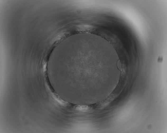 X0000096180767200802011342