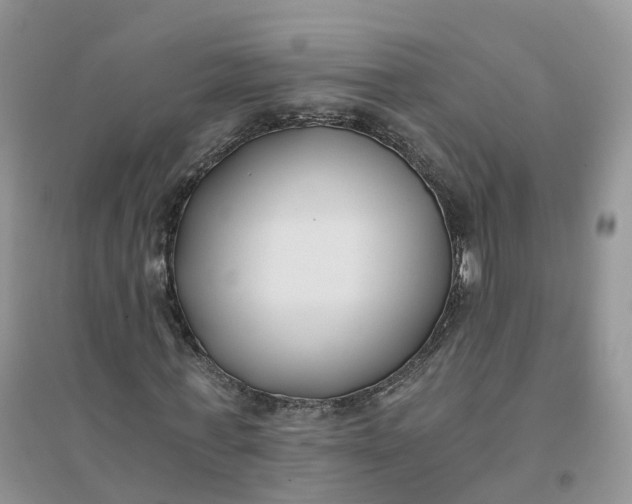 X0000096180771200802011341