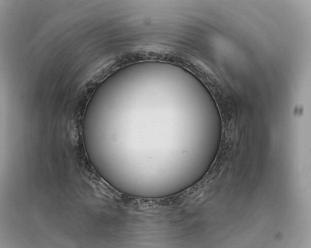 X0000096180774200802011341