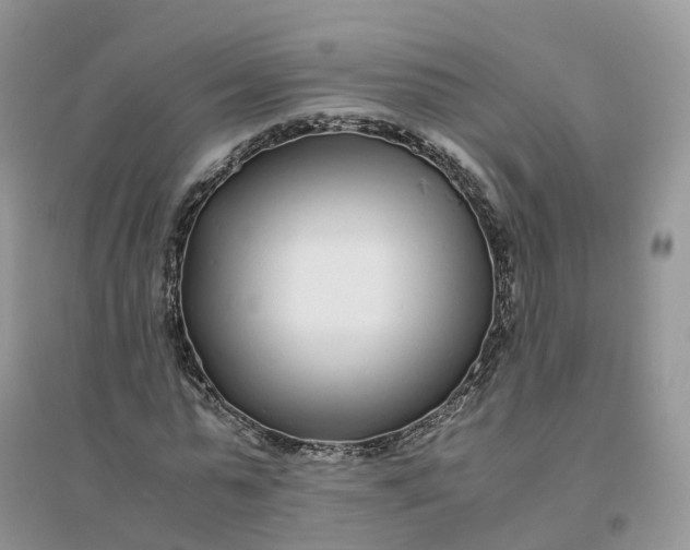 X0000096180775200802011341