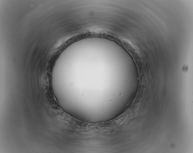 X0000096180776200802011341