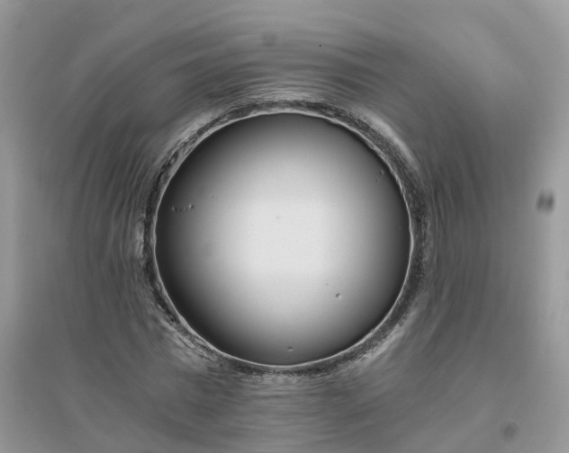X0000096180777200802011341