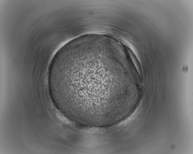 X0000096180779200802011341