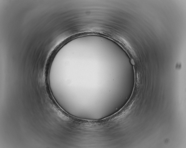 X0000096180780200802011341