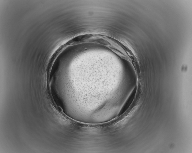 X0000096180781200802011341