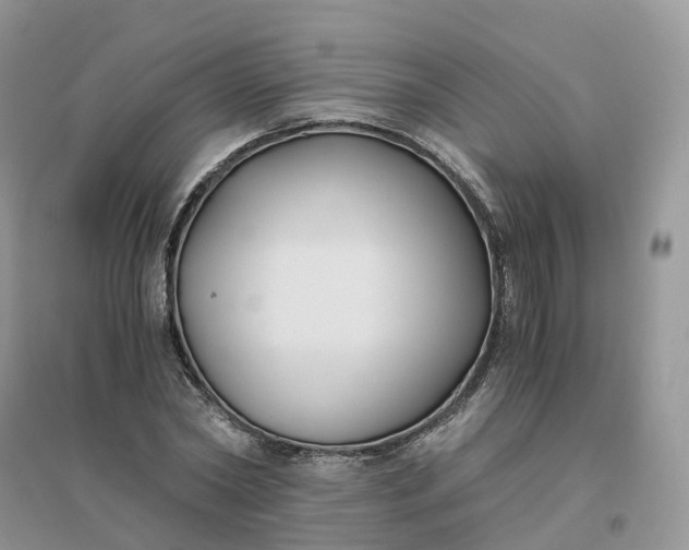 X0000096180782200802011341