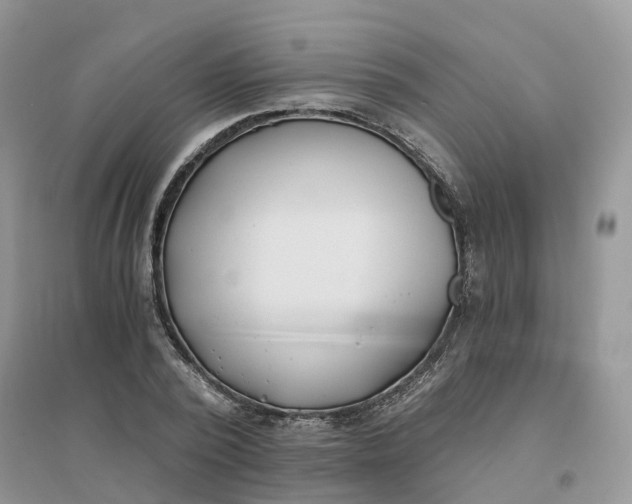 X0000096180784200802011341