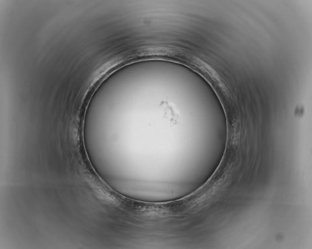 X0000096180786200802011341