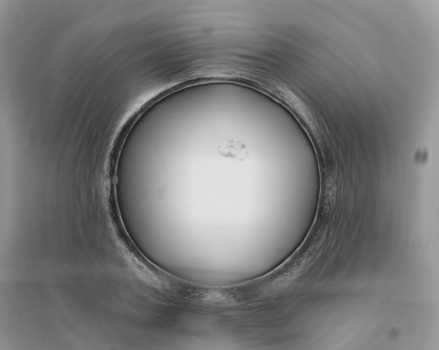 X0000096180787200802011341