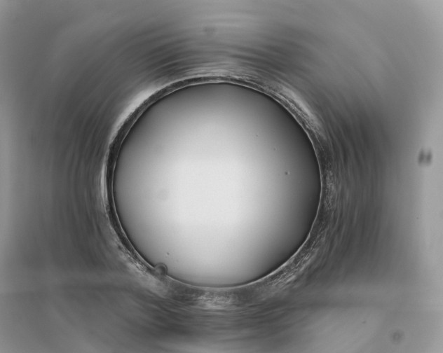 X0000096180788200802011341