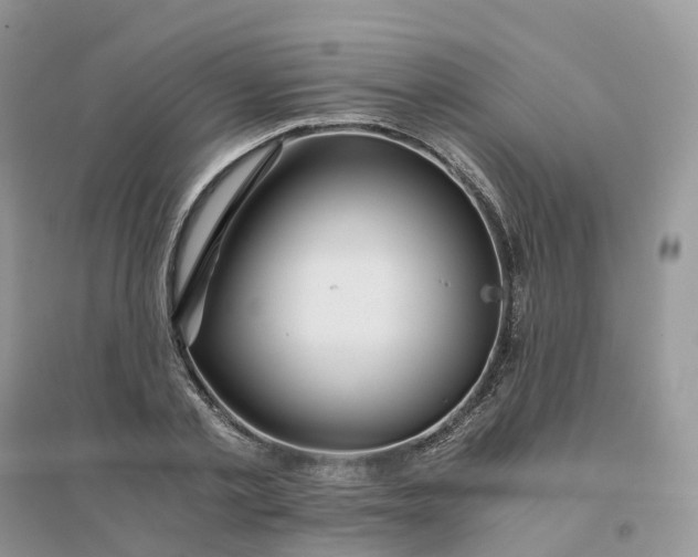 X0000096180789200802011341
