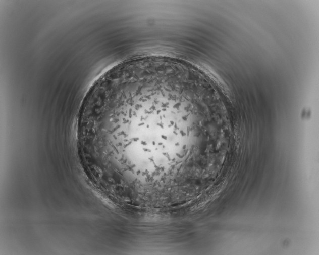 X0000096180790200802011341