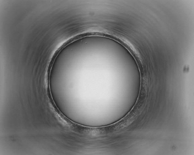 X0000096180791200802011341