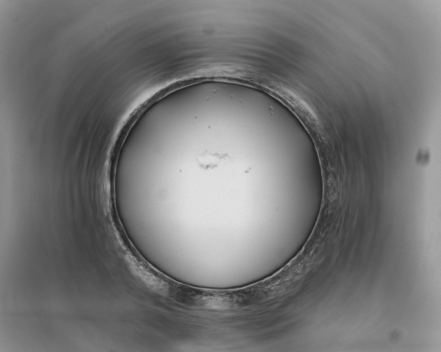 X0000096180792200802011341