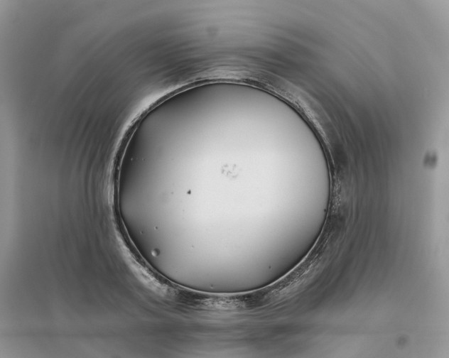 X0000096180795200802011341