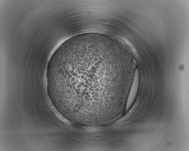 X0000096180796200802011341