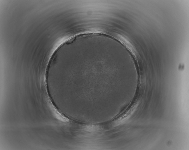 X0000096180797200802011341