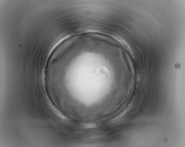 X0000096180798200802011341