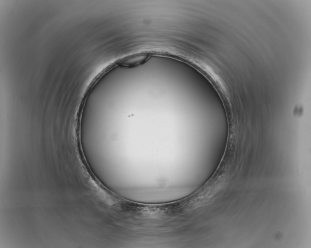X0000096180799200802011341