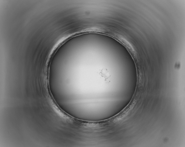 X0000096180800200802011341