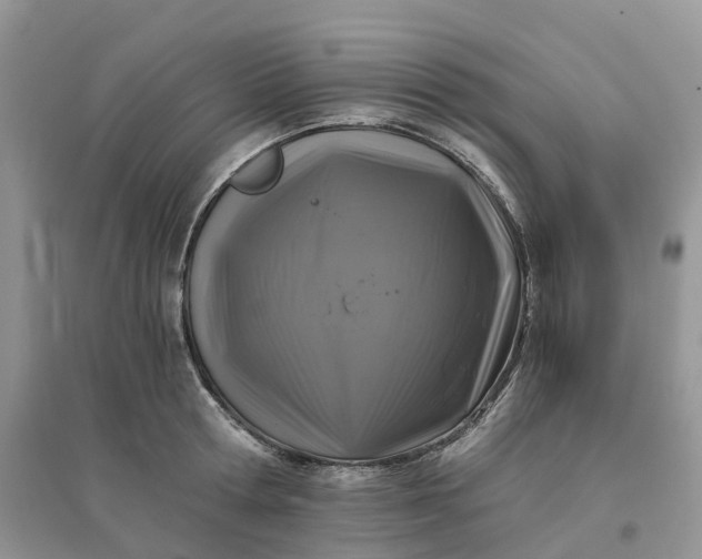 X0000096180802200802011341