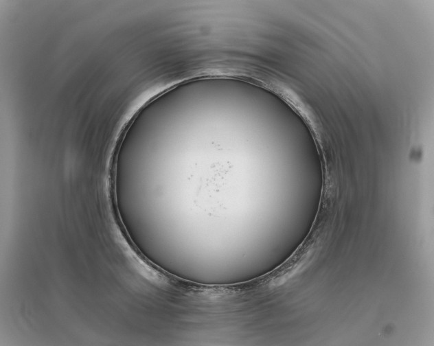 X0000096180803200802011341