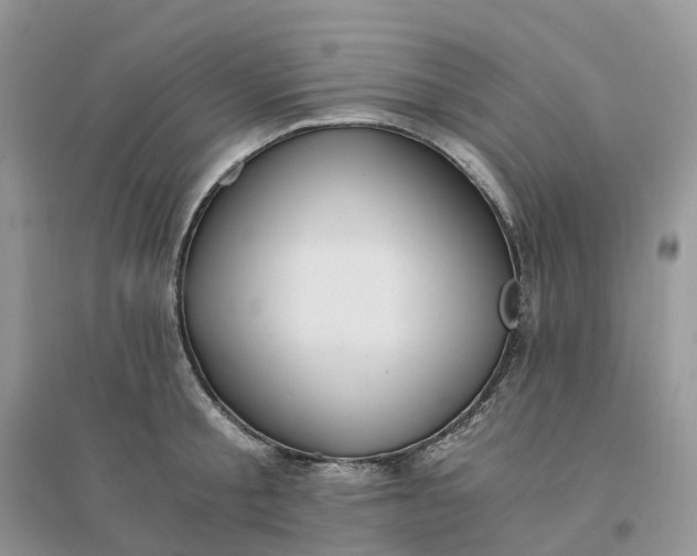 X0000096180805200802011341