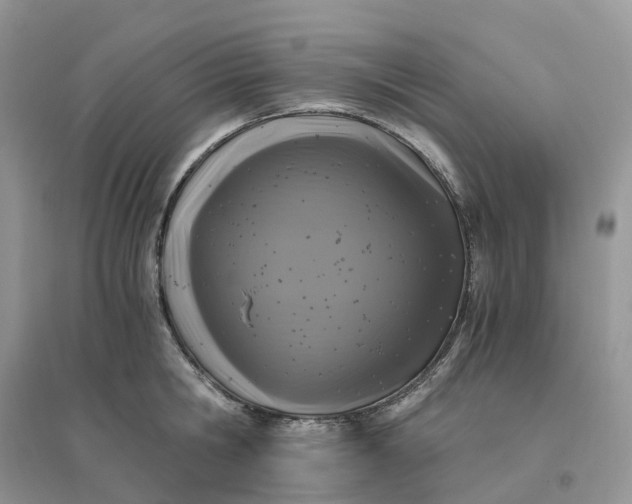X0000096180806200802011341