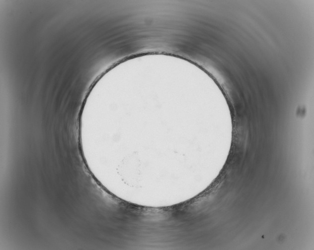X0000096180807200802011341