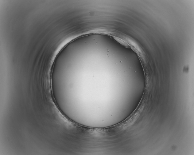 X0000096180808200802011341