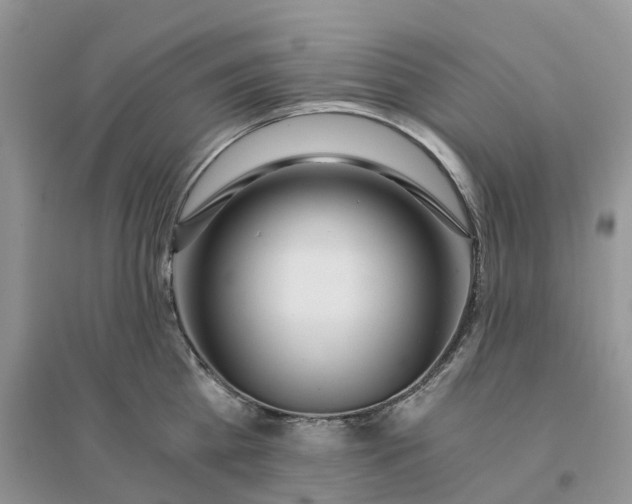 X0000096180809200802011341