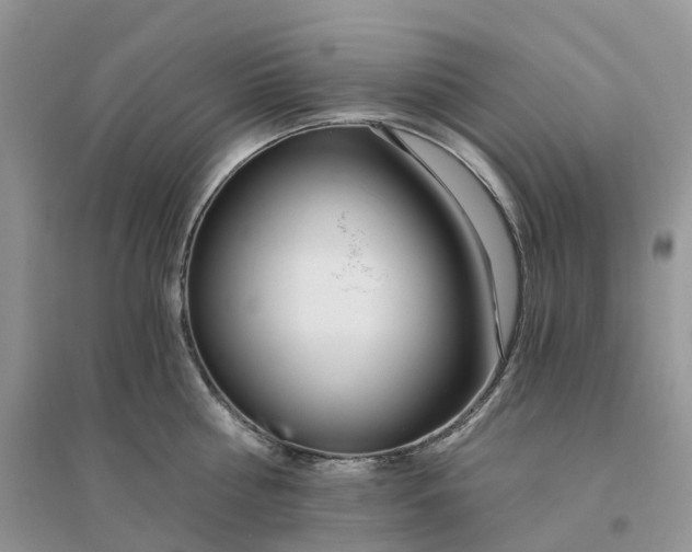 X0000096180810200802011341