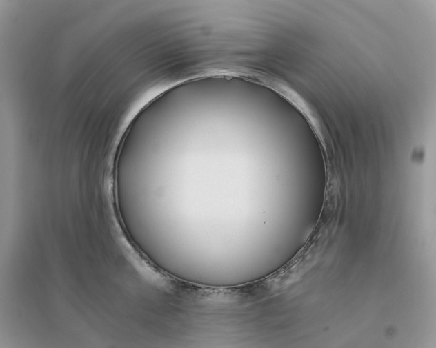 X0000096180811200802011341