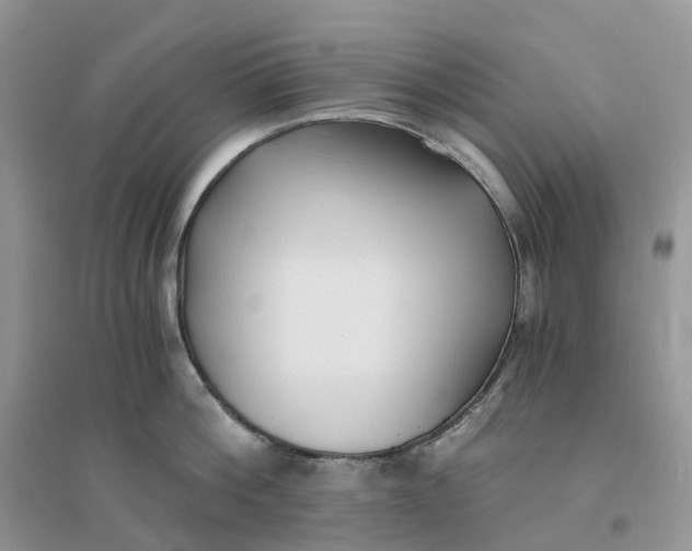 X0000096180812200802011341