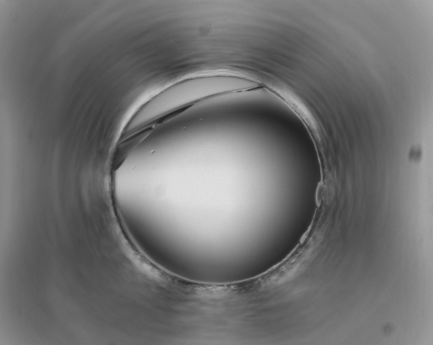 X0000096180813200802011341