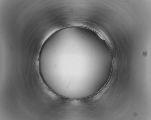 X0000096180814200802011341