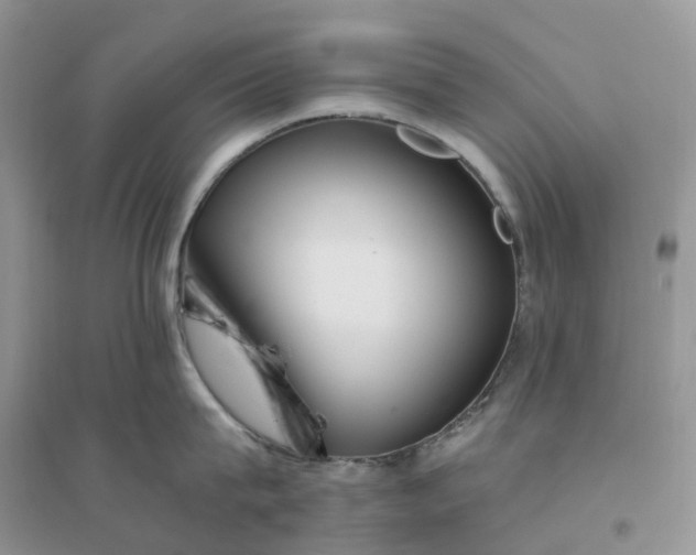 X0000096180815200802011341