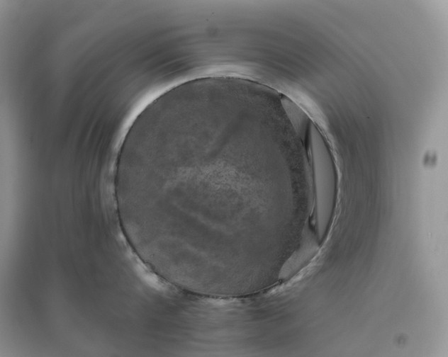 X0000096180816200802011341