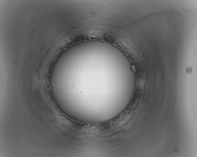 X0000096180817200802011340