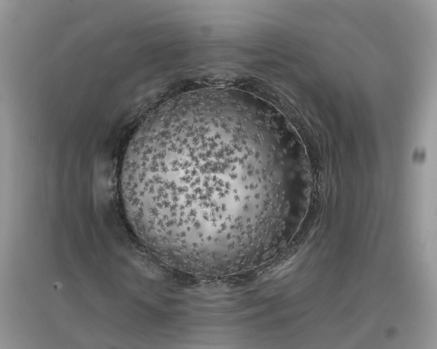 X0000096180818200802011340