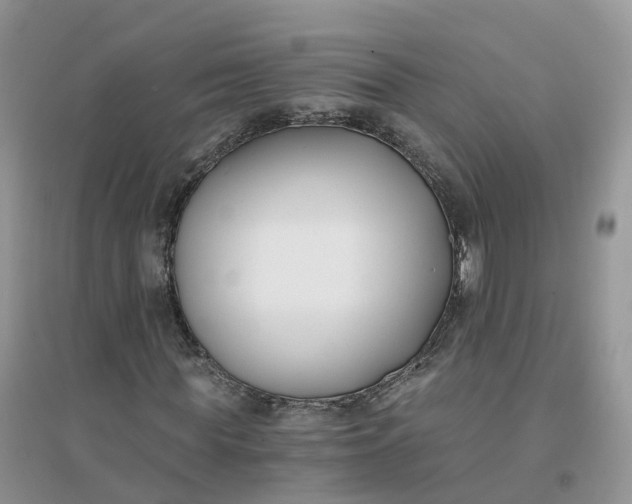 X0000096180819200802011340