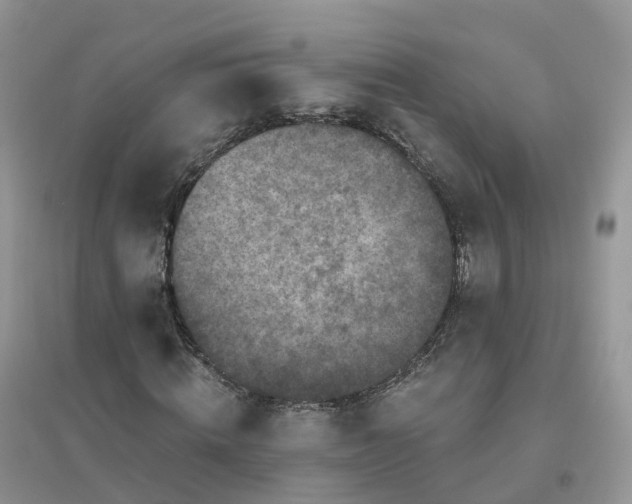 X0000096180820200802011340