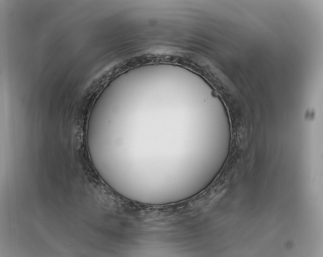 X0000096180821200802011340