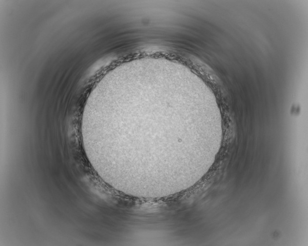 X0000096180824200802011340