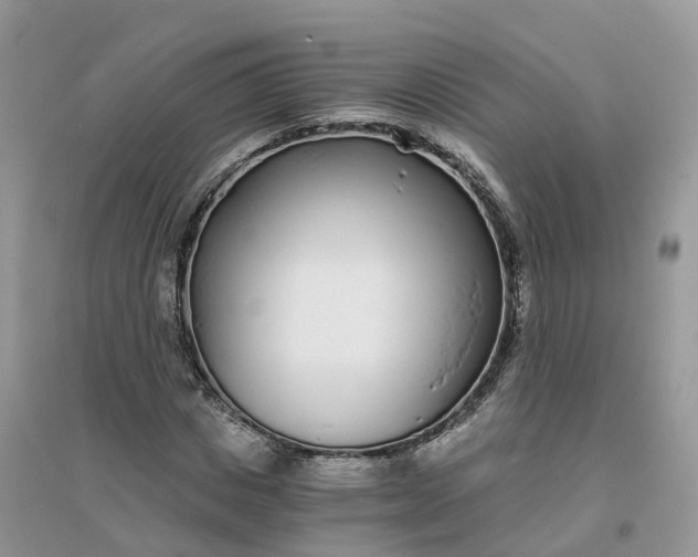 X0000096180825200802011340