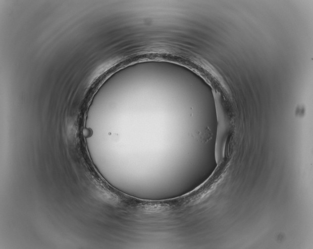 X0000096180826200802011340