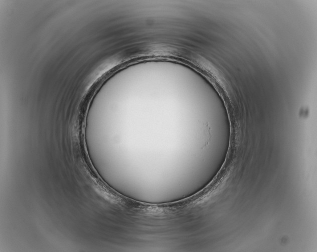 X0000096180827200802011340